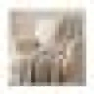 هدية غامضة