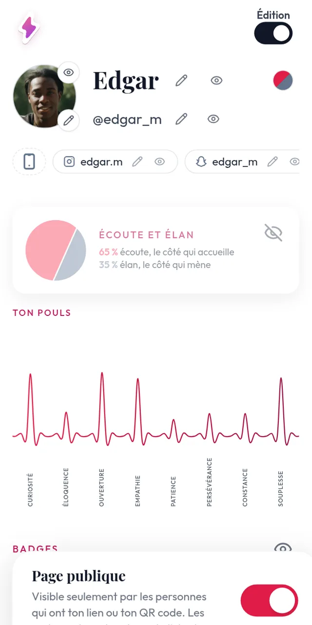 The profile page in edit mode on a phone: an eye icon next to each section, the theme choice and the public page switch at the bottom